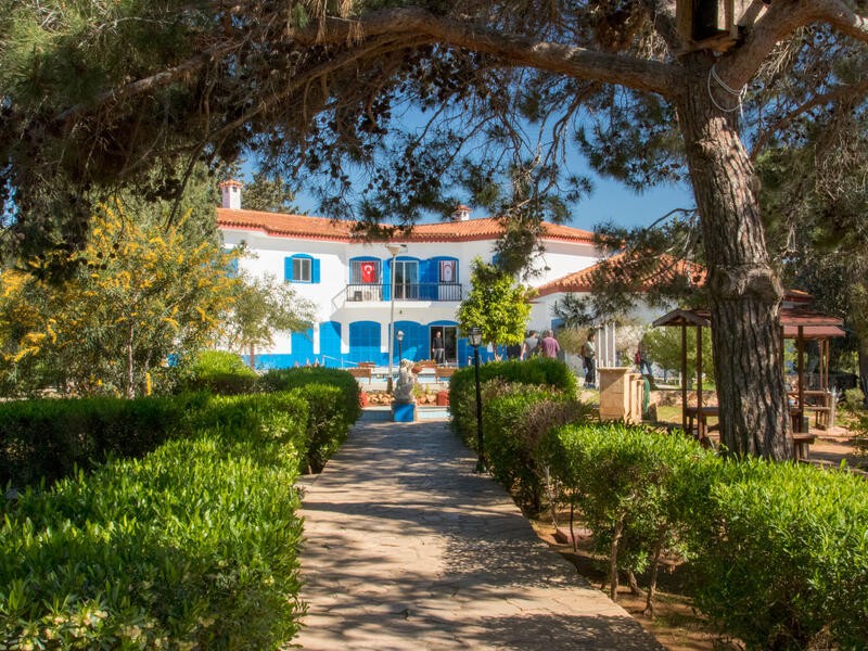 Голубой особняк